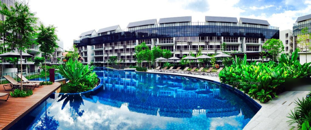 Flamingo Valley thumbnail photo